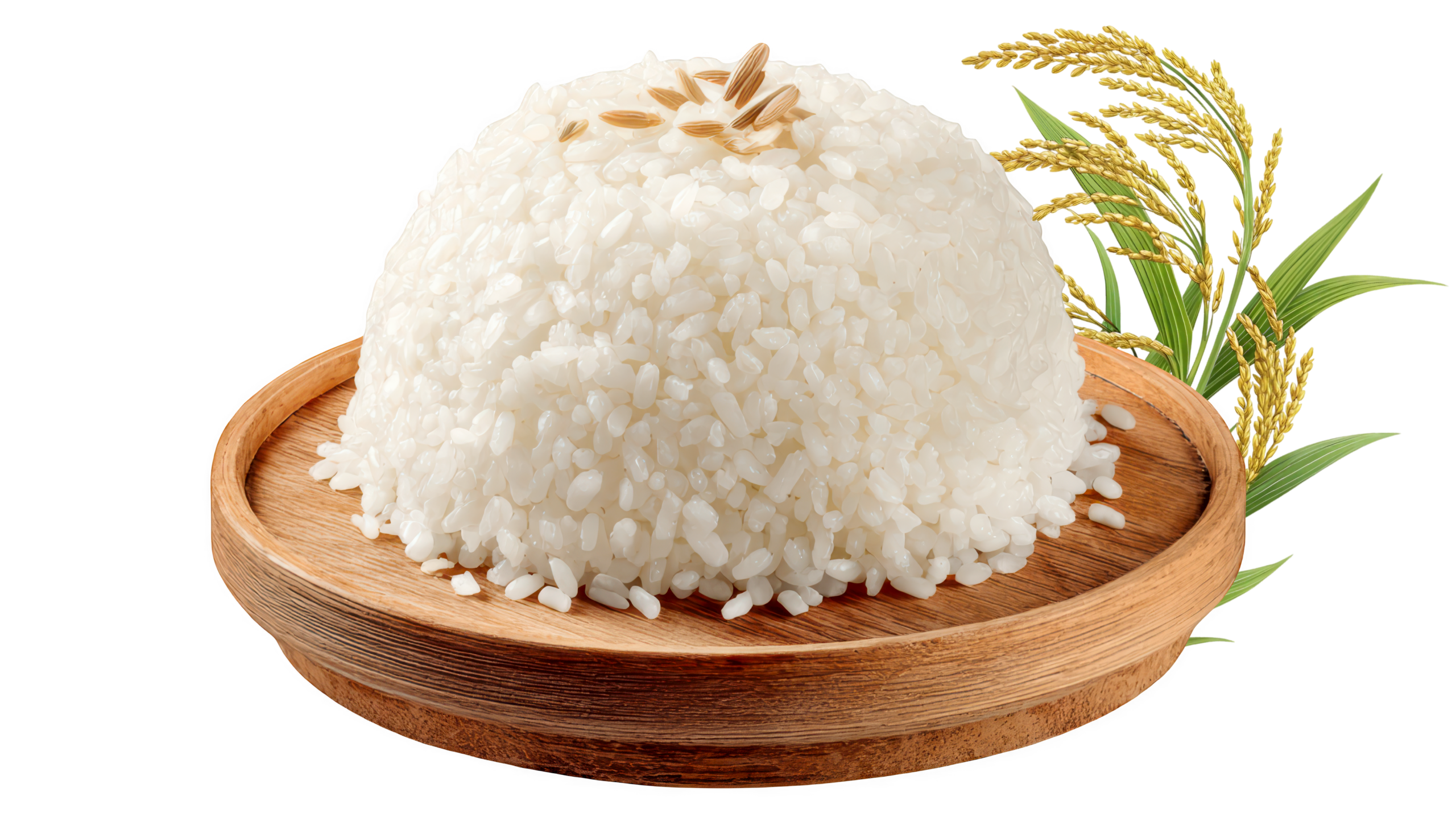TPI Rice Bowl